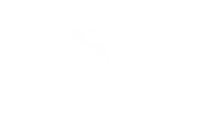 Logo-BIND-INSURANCE-BRANCO-NOVO
